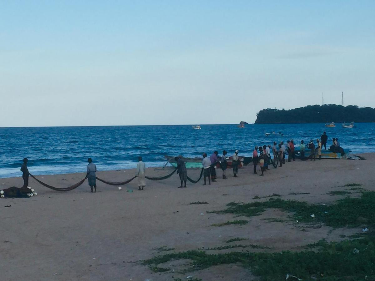Amazon * Trincomalee