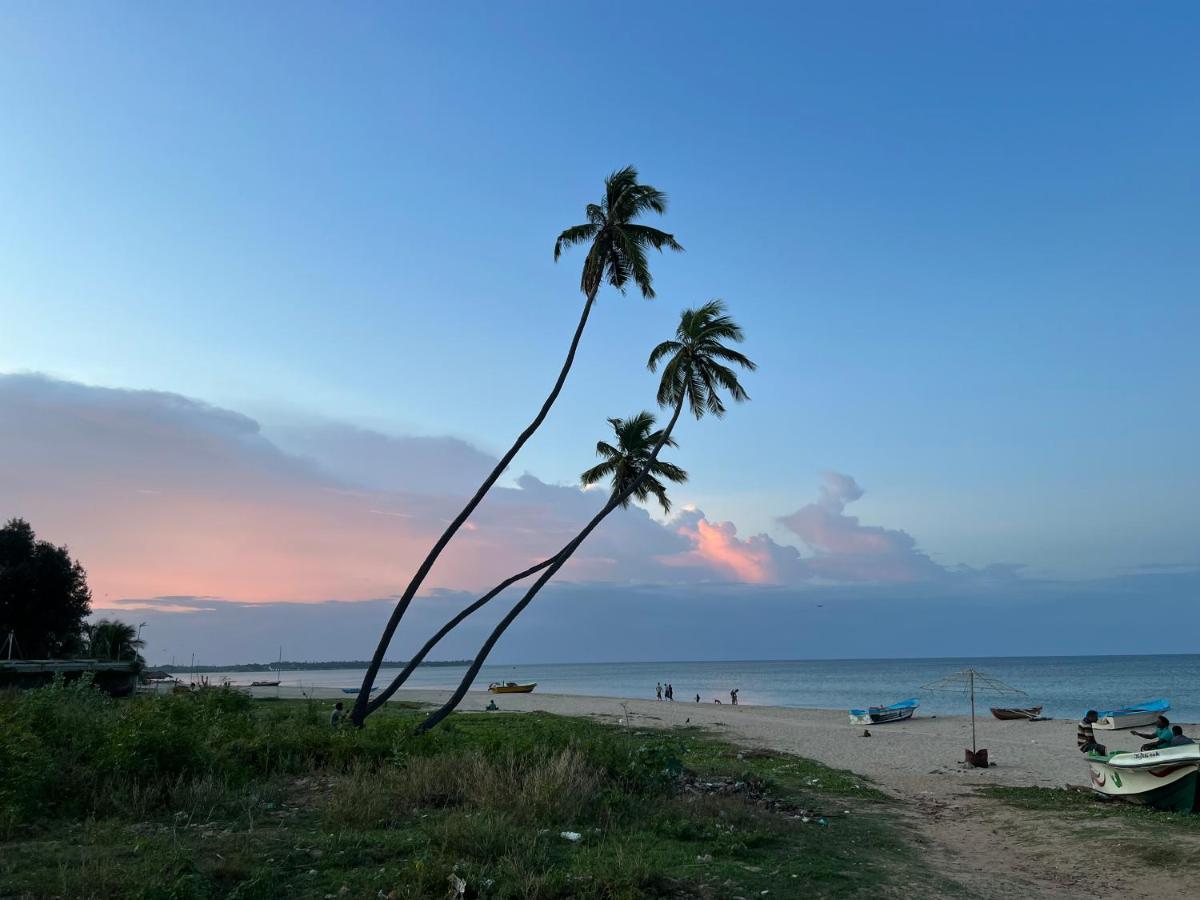 Amazon * Trincomalee