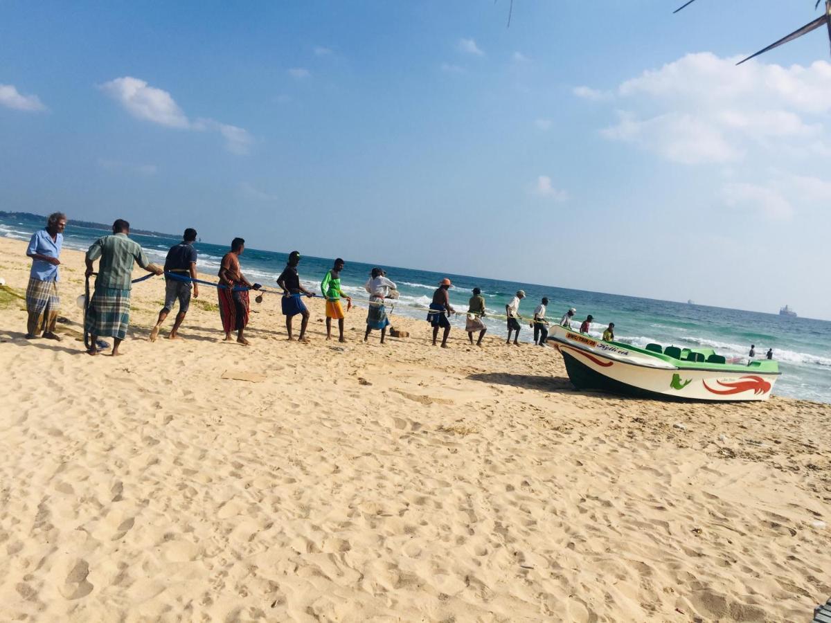 Amazon Trincomalee